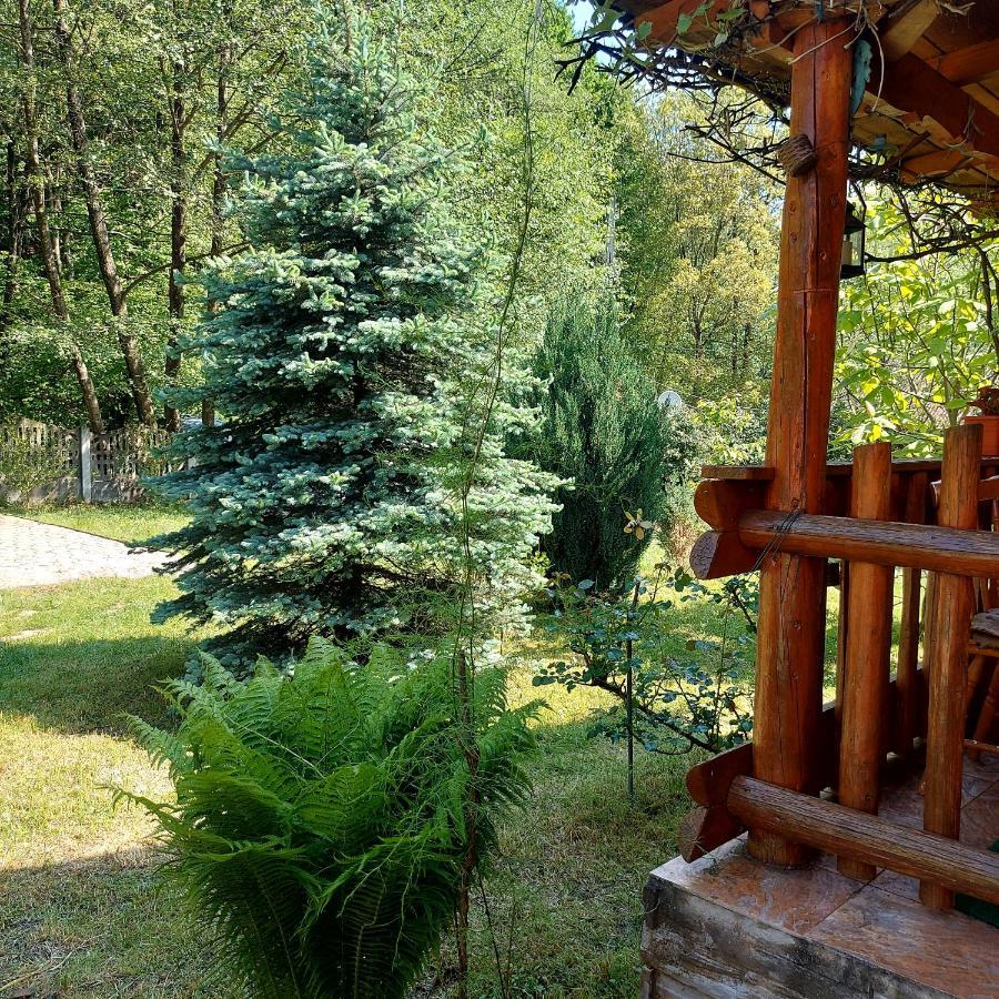 Vila Sara Bosorod Dış mekan fotoğraf