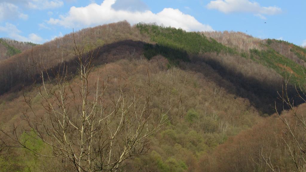Vila Sara Bosorod Oda fotoğraf
