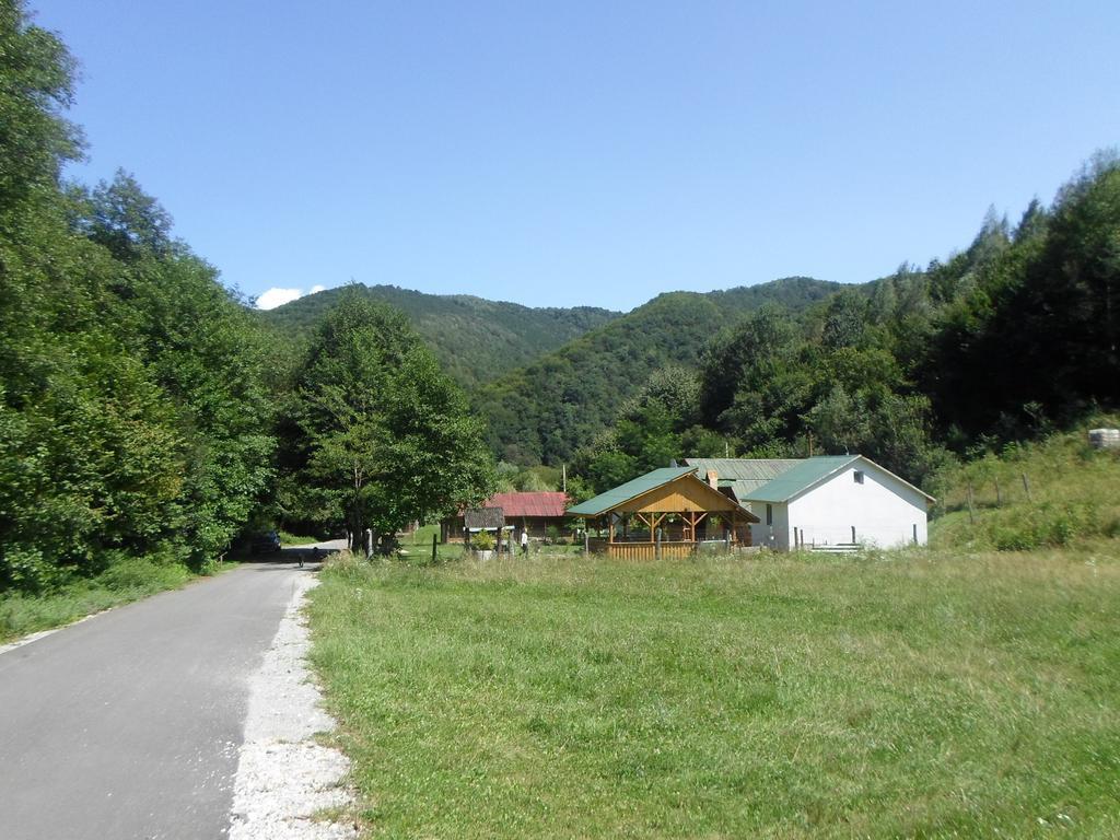 Vila Sara Bosorod Oda fotoğraf